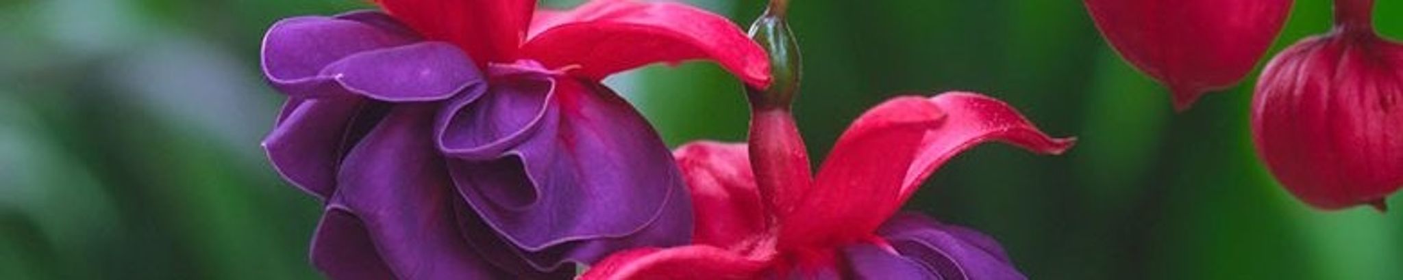 Cover photo for Kathern Boston's Obituary