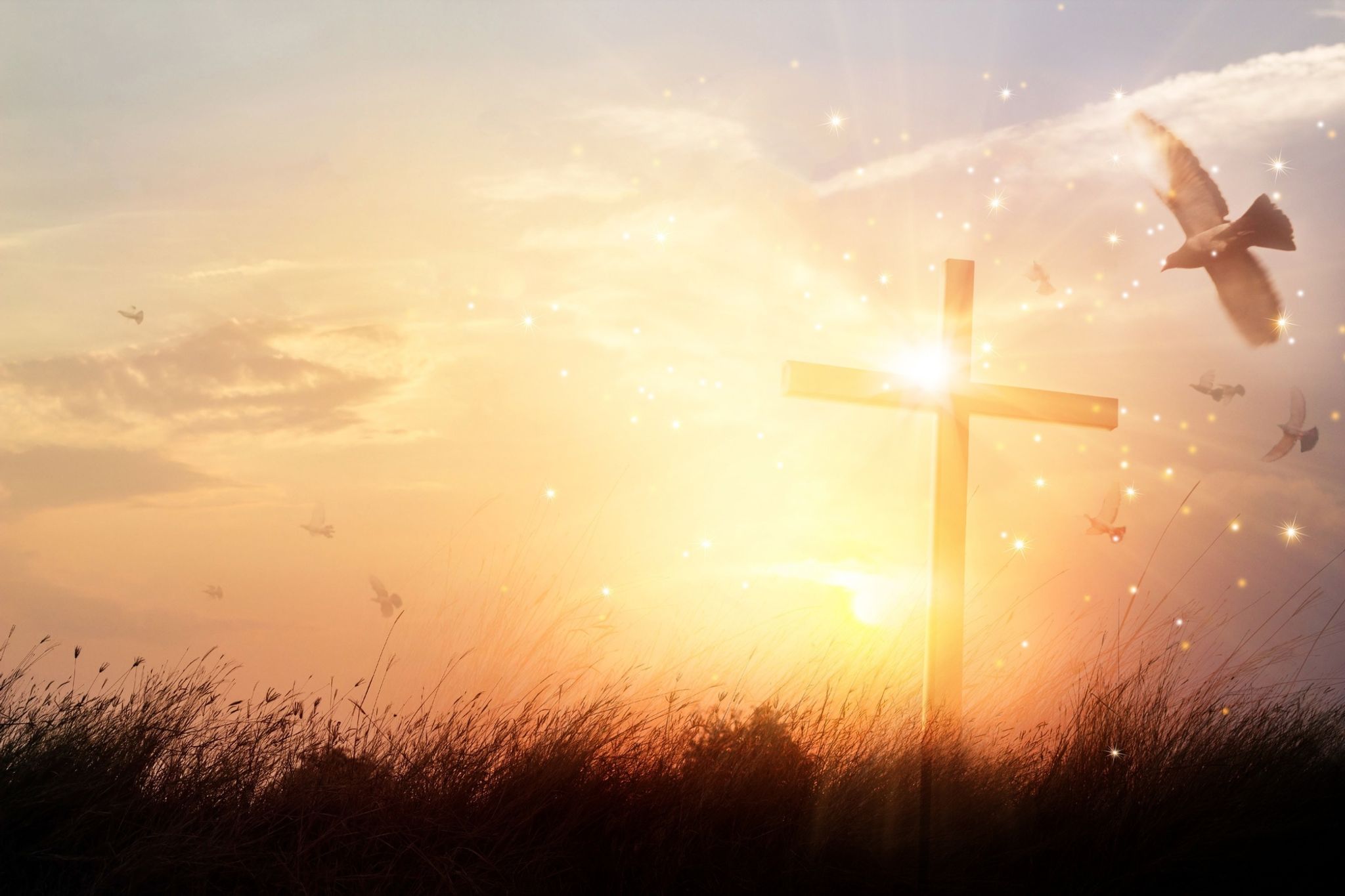 Cover photo for Vickie Lea Rodgers's Obituary