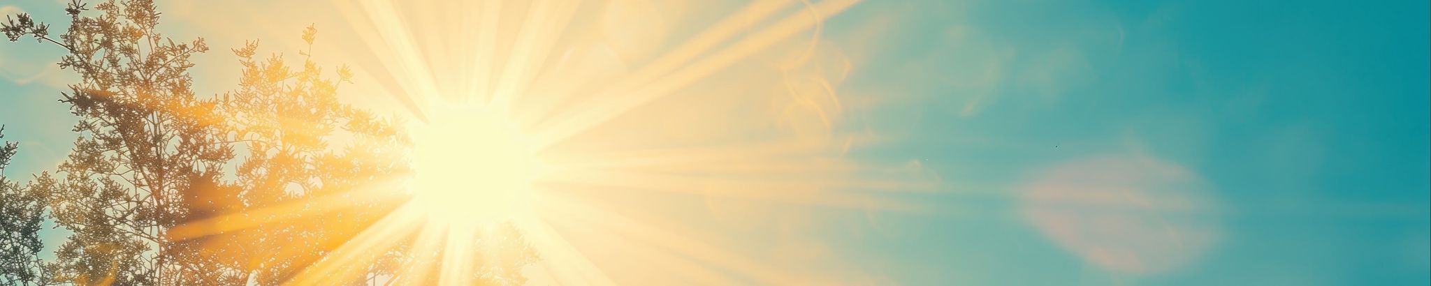 Cover photo for Shannon Mitchell's Obituary