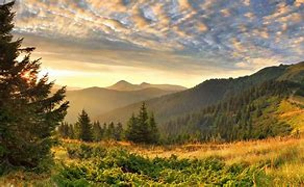 James Morris Mcdaniel