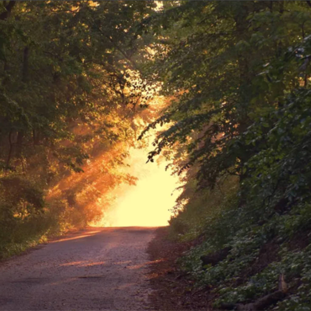 Charles John Parsons Profile Photo