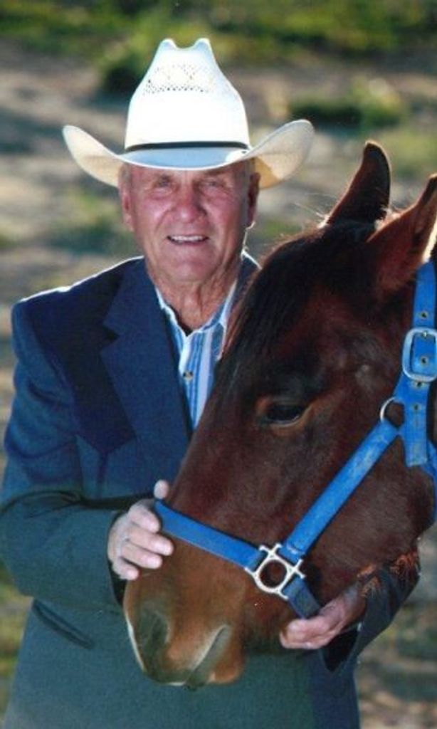Richard E Cook