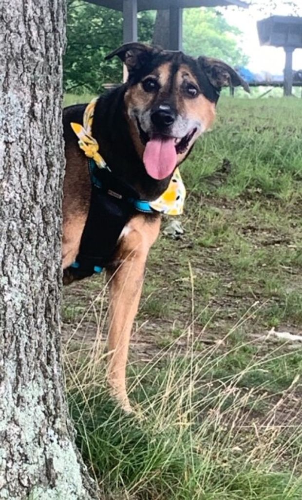 Toby Oehler Profile Photo