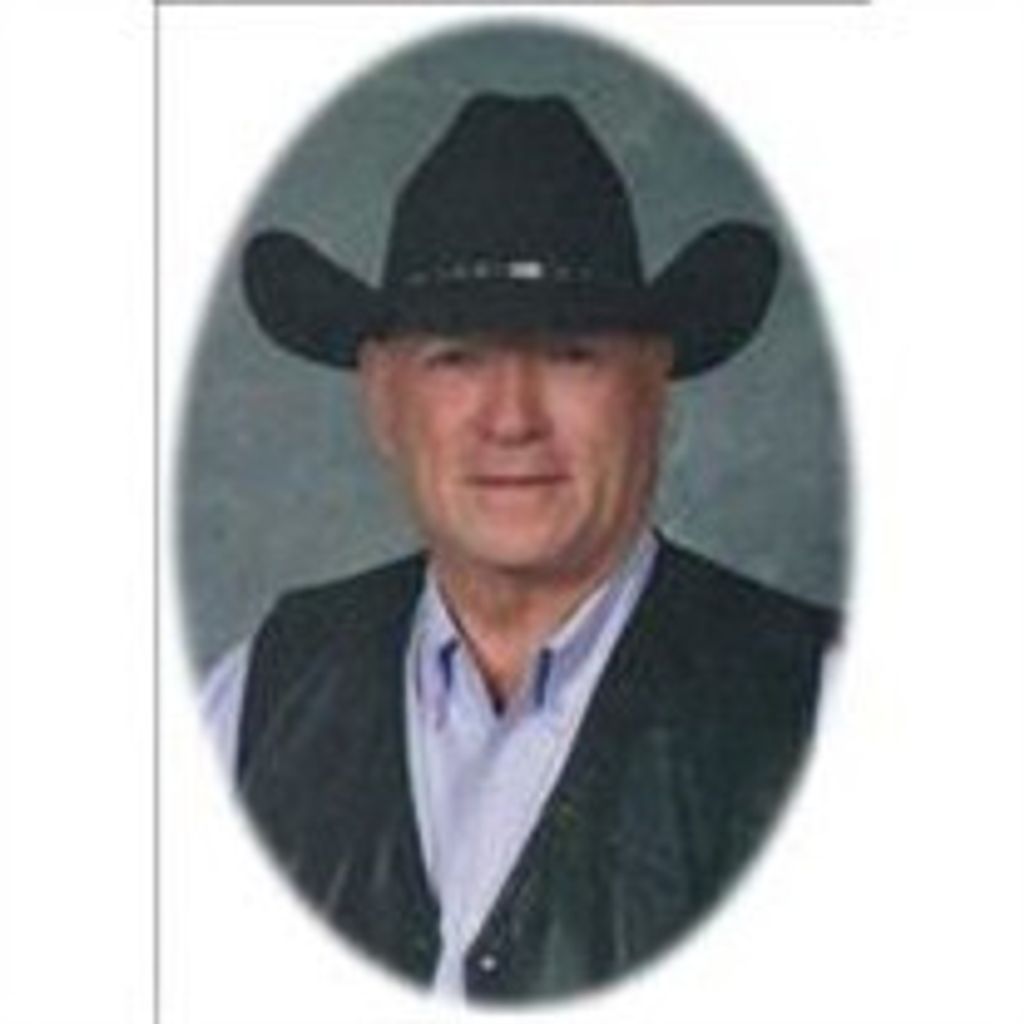 Andy Niles