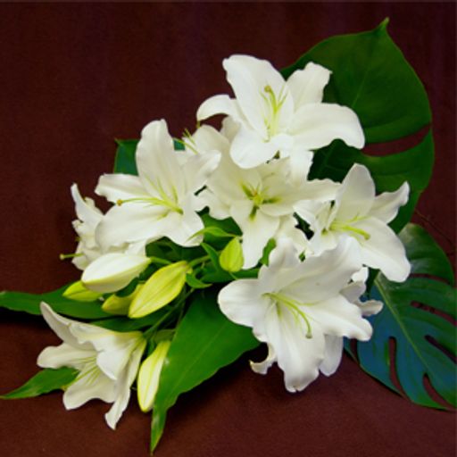 Peggy L. Boxberger Profile Photo