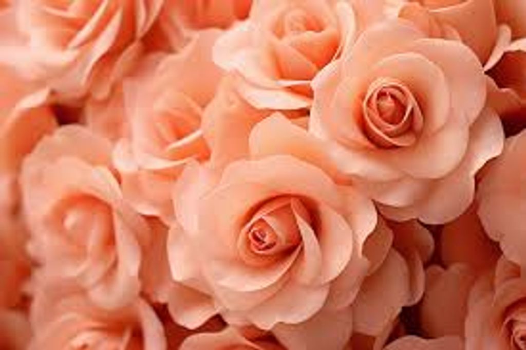 Joyce Marie Hart Profile Photo