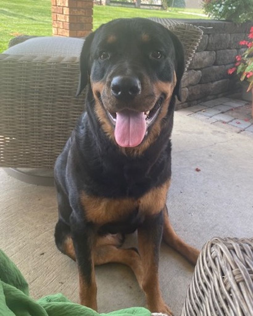 Roxie Gish Profile Photo