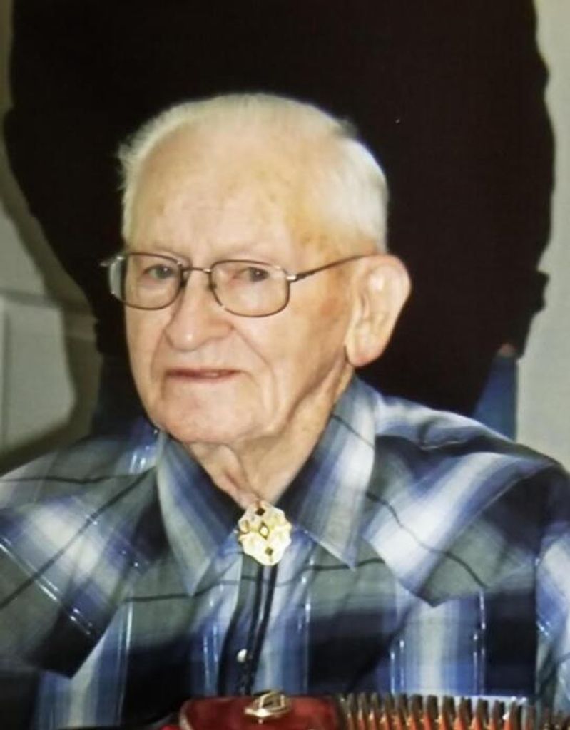 John Dammer Profile Photo