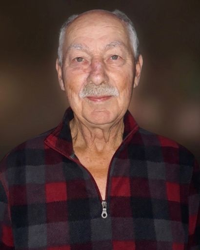 Robert Ray LaVone's obituary image