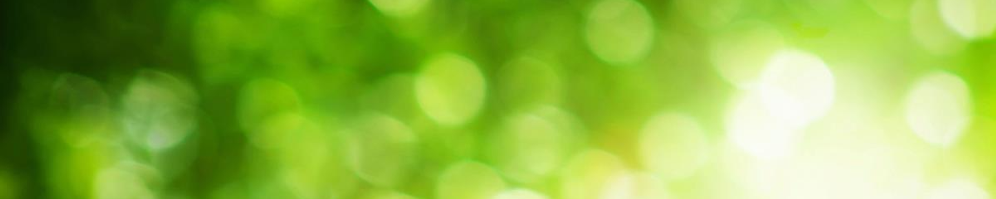 Cover photo for Kisha Gayle Bradford's Obituary