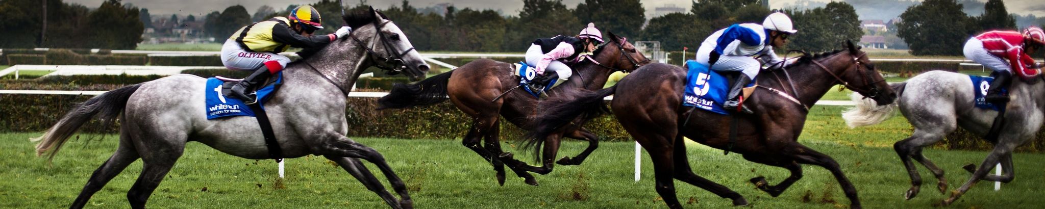 Cover for John Anthony DeMino Sr's Obituary