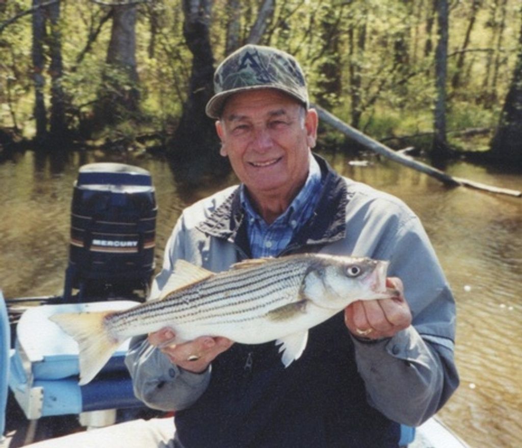 Obie Wilton White Profile Photo