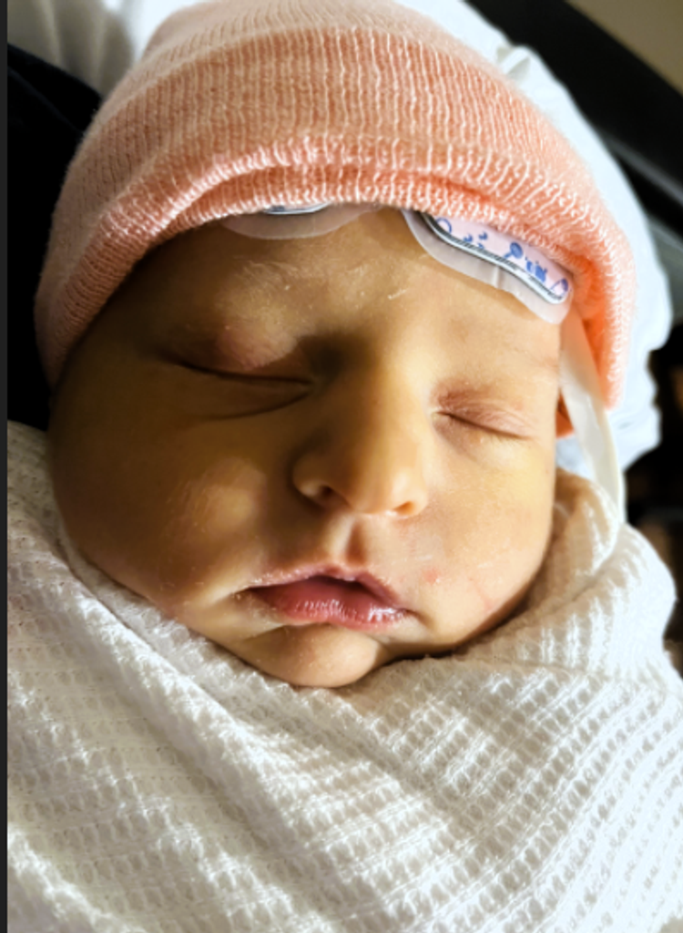 Navie Ann Michelle Seals Profile Photo