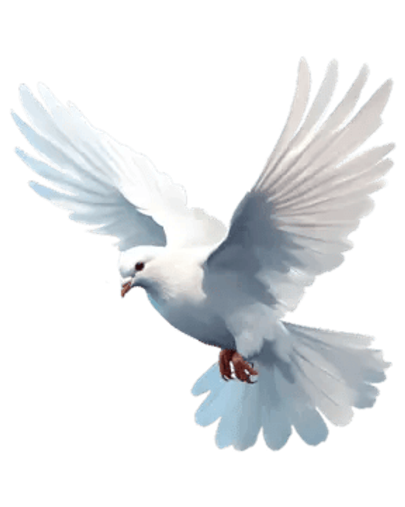 Arlene Hunt Profile Photo