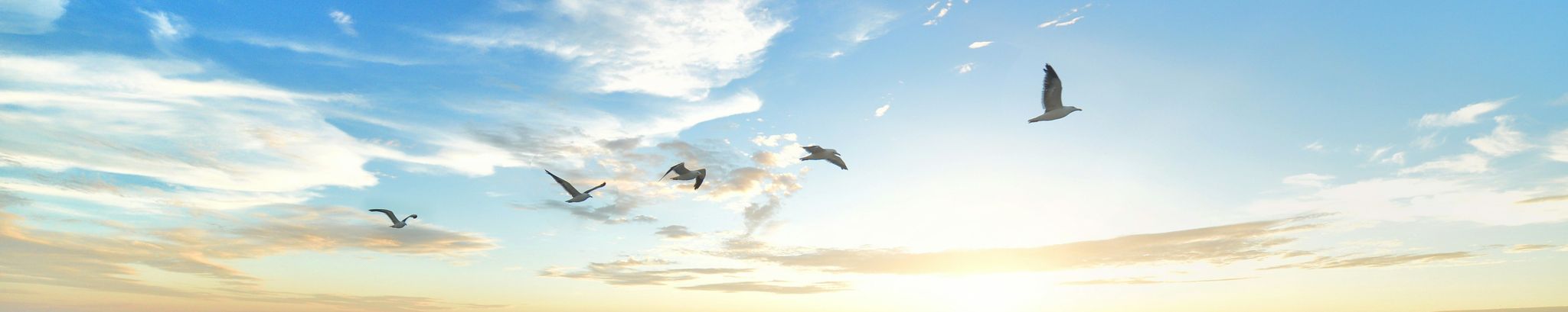 Cover photo for Audrey Svihra's Obituary