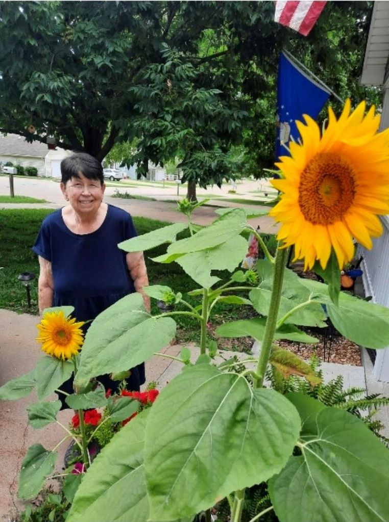 Janet Jonell (Hower) Moser Profile Photo