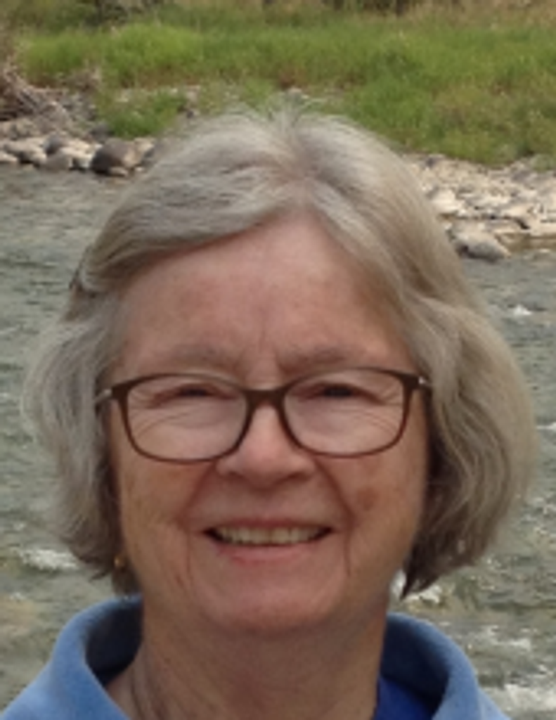 Marykay Fallon Wilcox