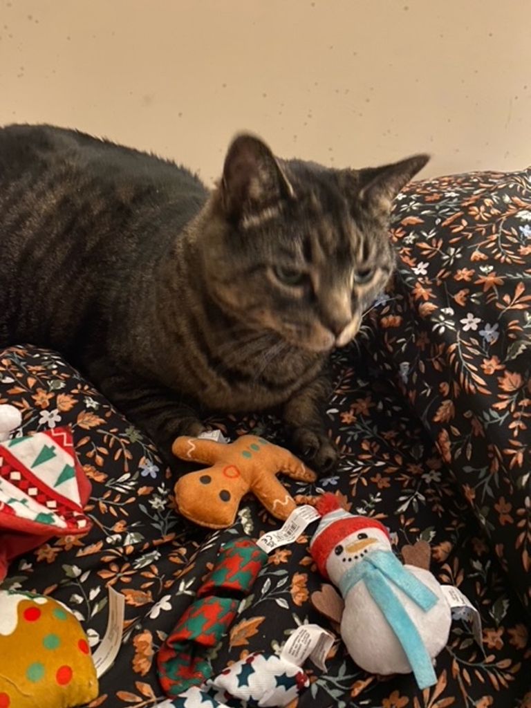 Tigger Daniel