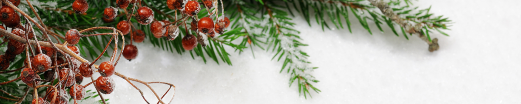 Cover for Pauline Sevy Prince's Obituary