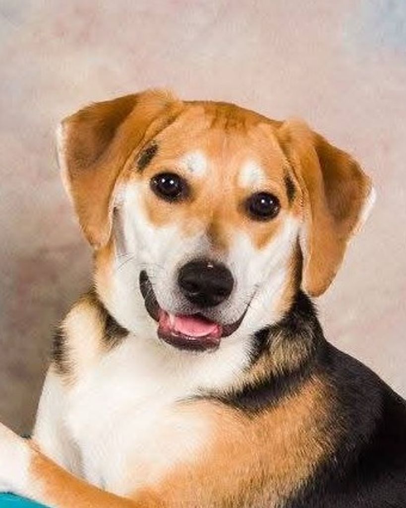 Sebastian Bartholomew Grindstaff Profile Photo