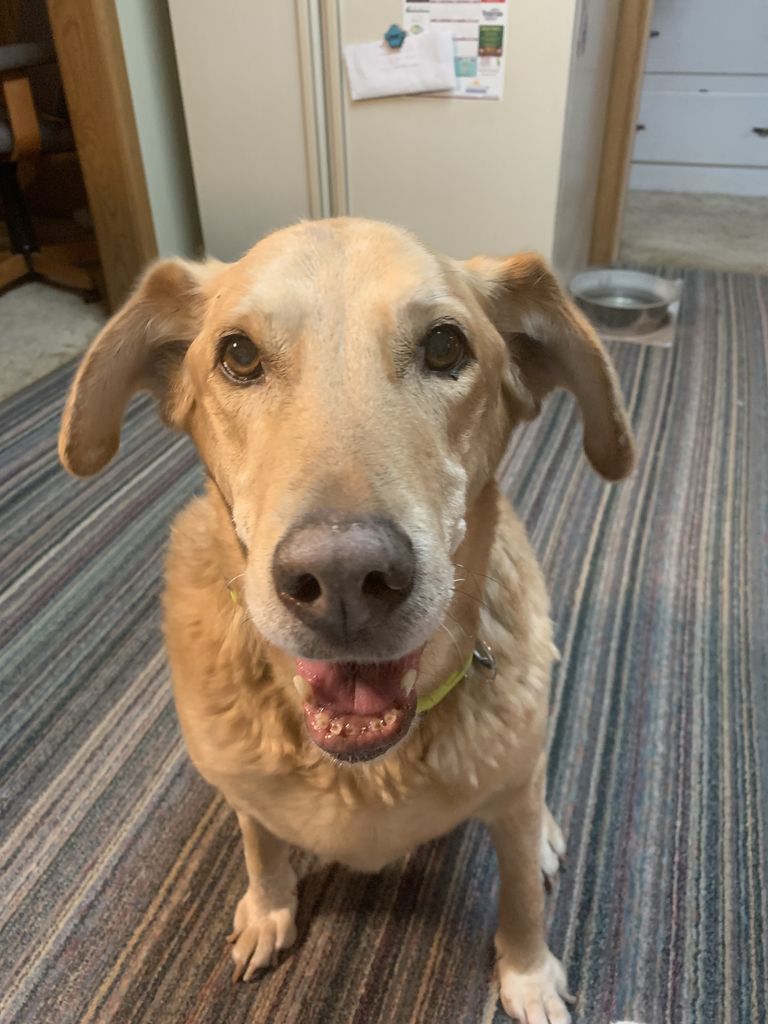 Bandit Profile Photo