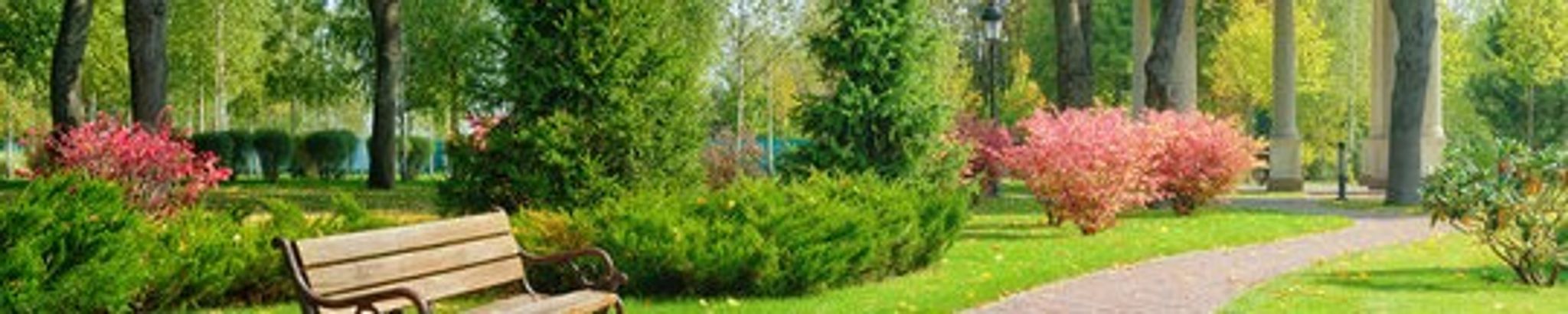Cover photo for Daniel Matthew Fish's Obituary