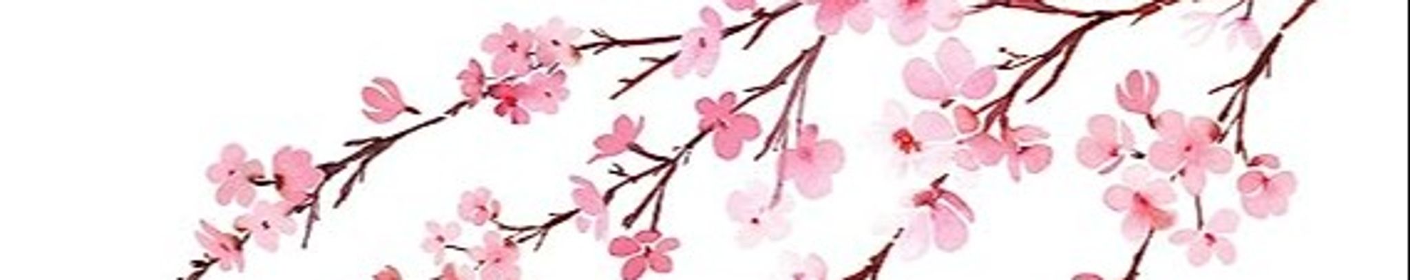 Cover photo for JoLyn Reeves's Obituary