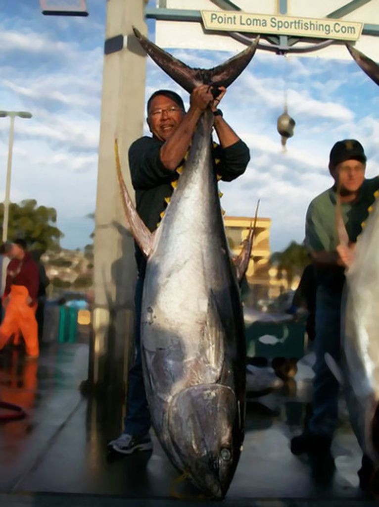 Kent Goichi Iwata Profile Photo