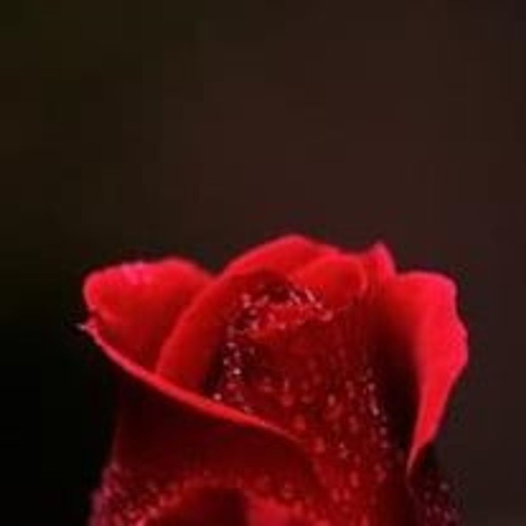 Mrs. ROSE ELLEN PEARSON
