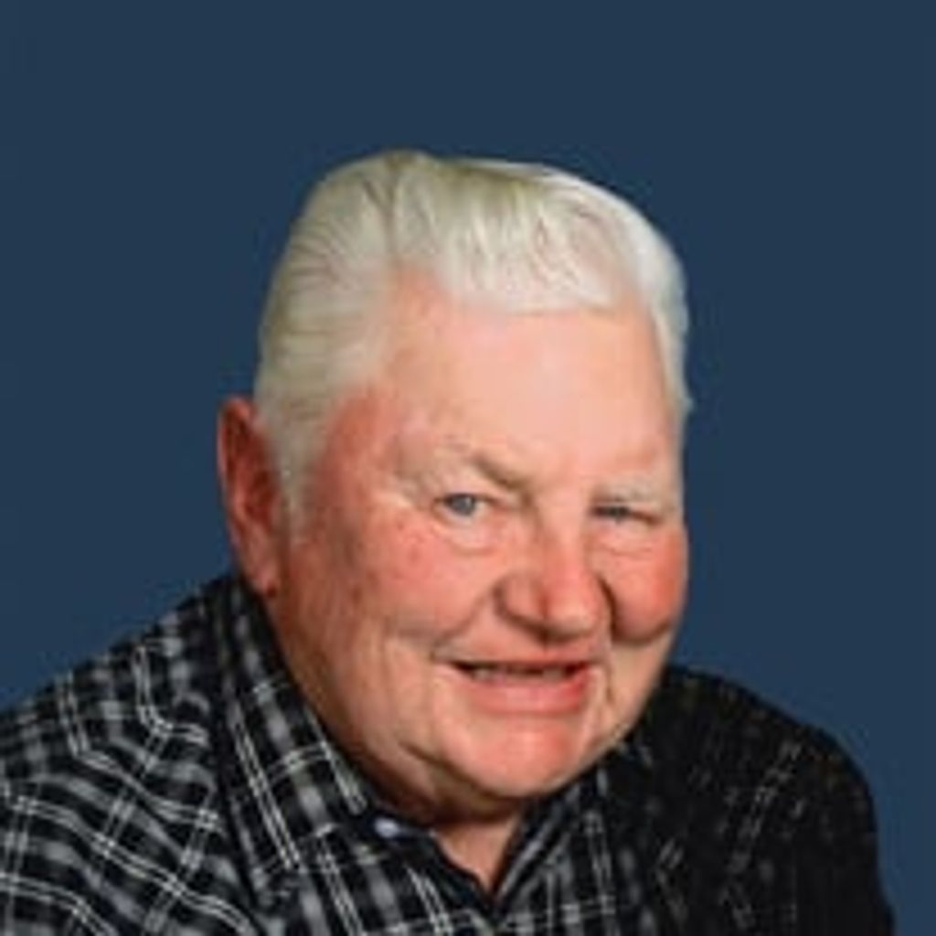 David H. Nettemeier