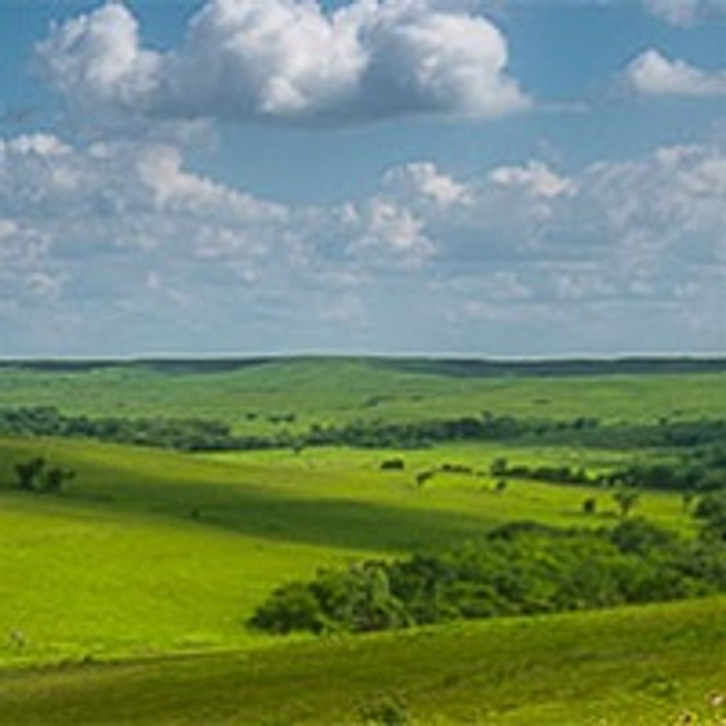 Mark Edward Say Profile Photo