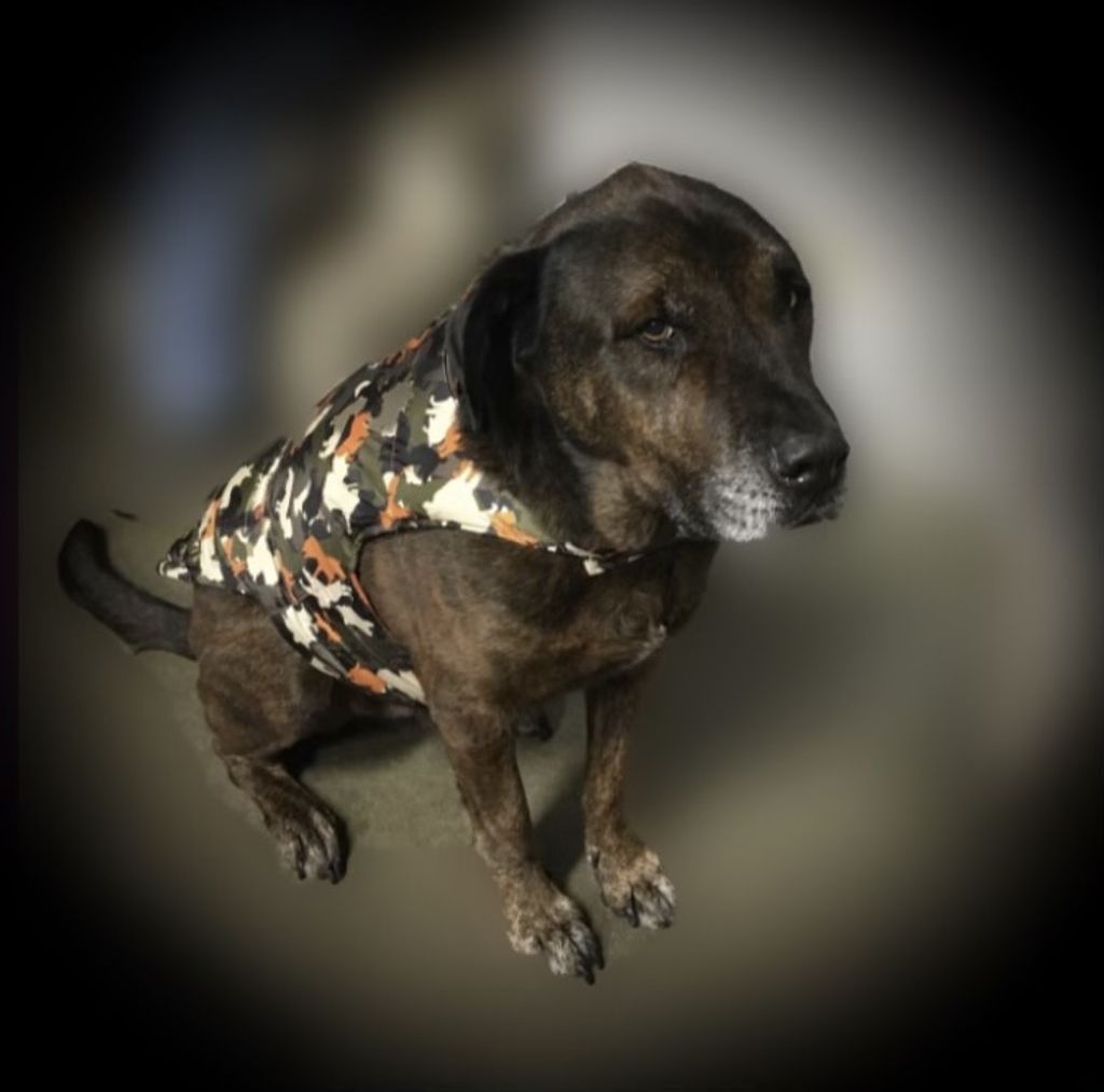 “Tyson” Colombo Profile Photo