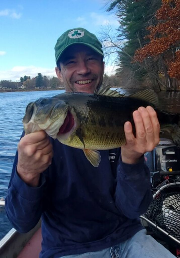 Brian L. Pelland Profile Photo