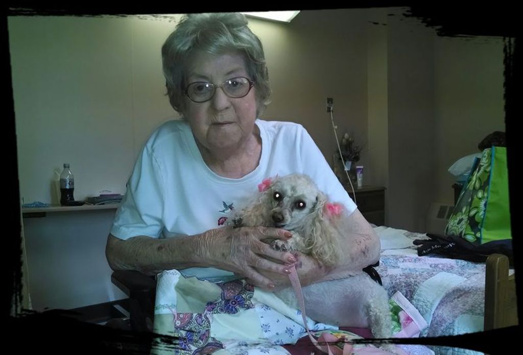 Glenna J. Gilley
