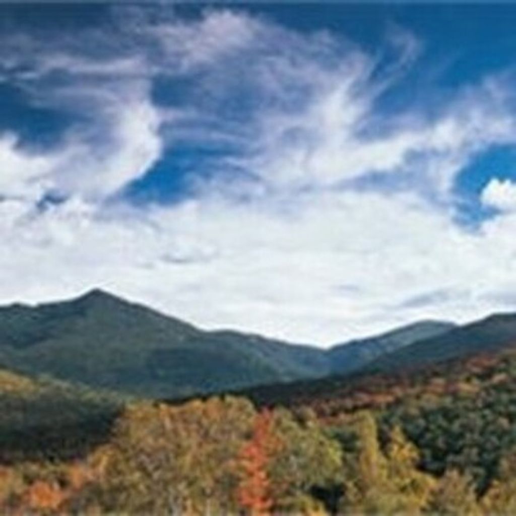 Rosa Maria Mussenden