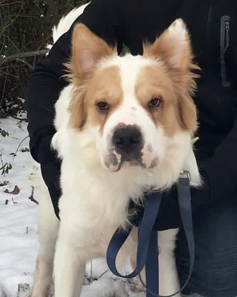 Boomer Gillim Profile Photo