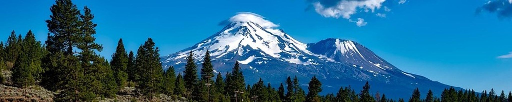 Cover for Charles Warren Pearce Sr.'s Obituary