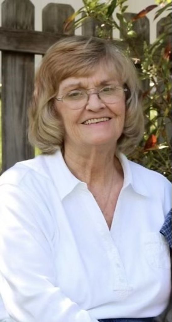 Patricia Ann (Boyer)  Snyder