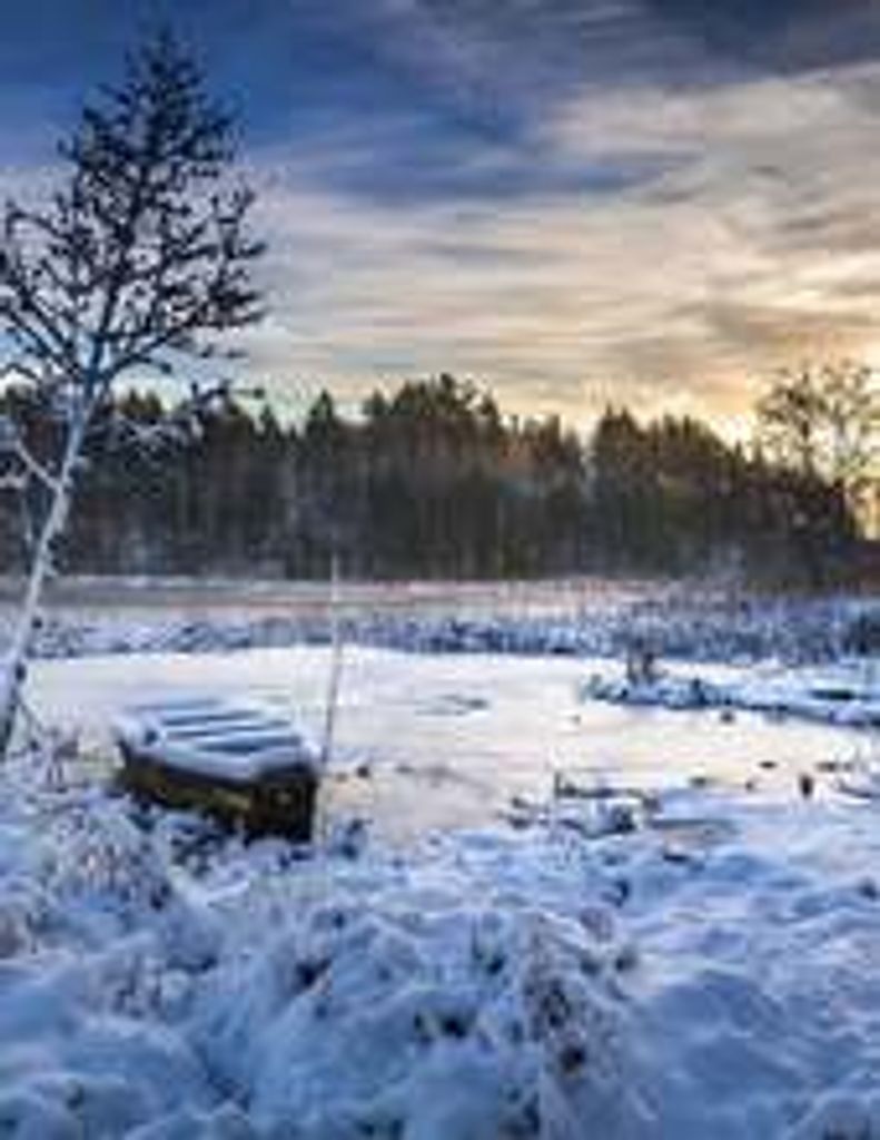 Loretta Laguna Profile Photo