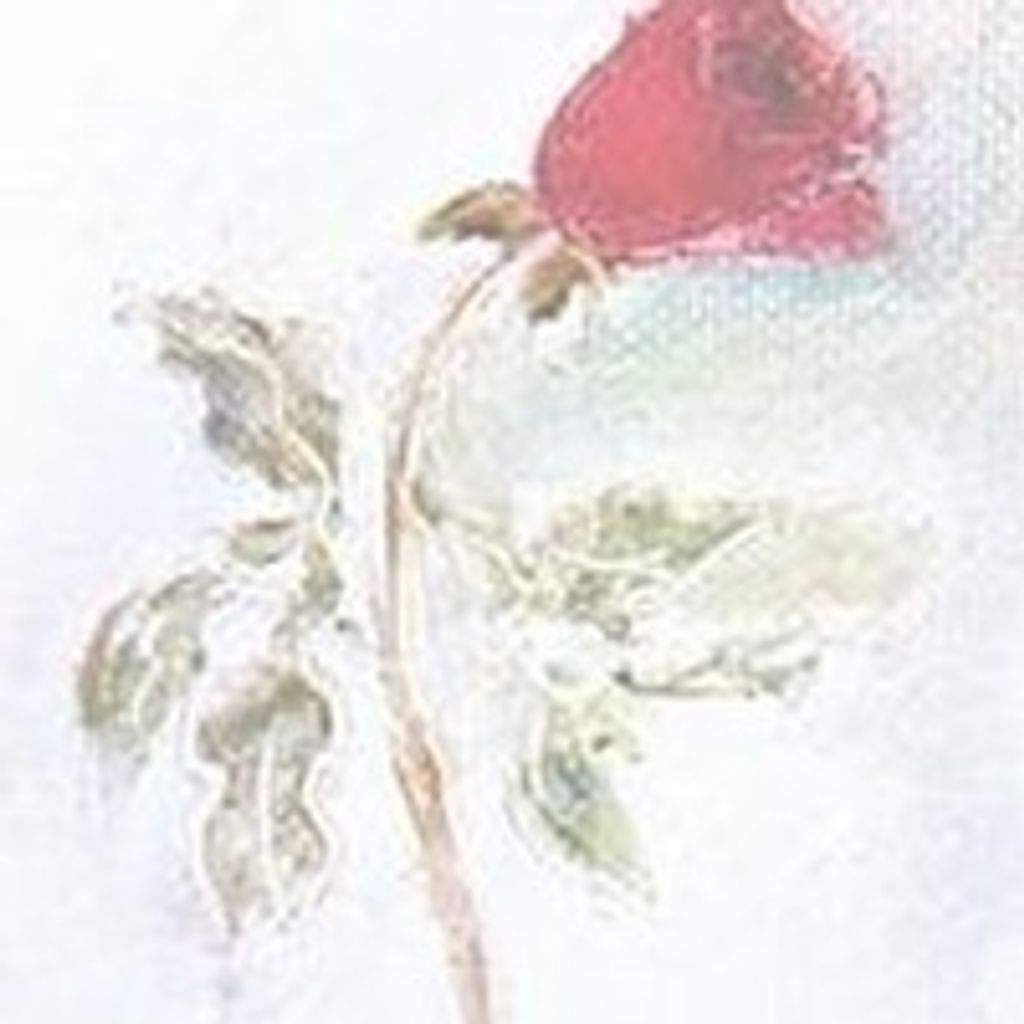 Meda Mae Yarnell