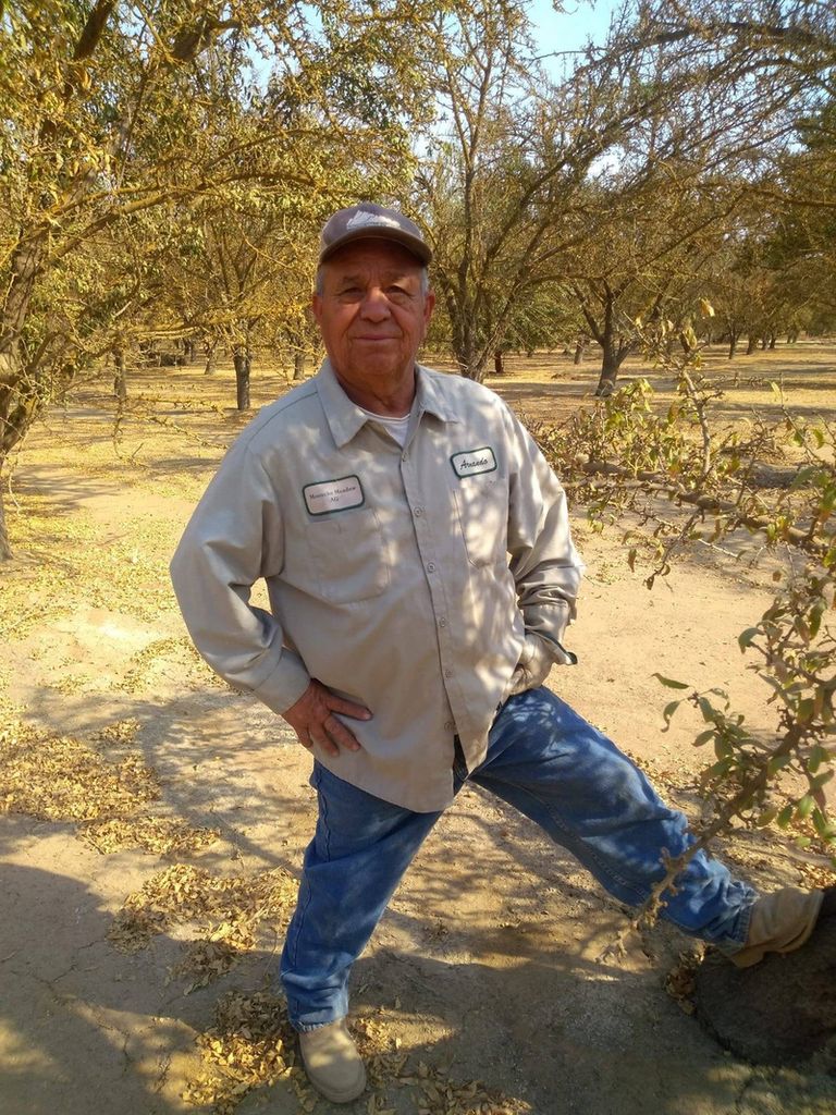 Jose Armando Acosta Trujillo