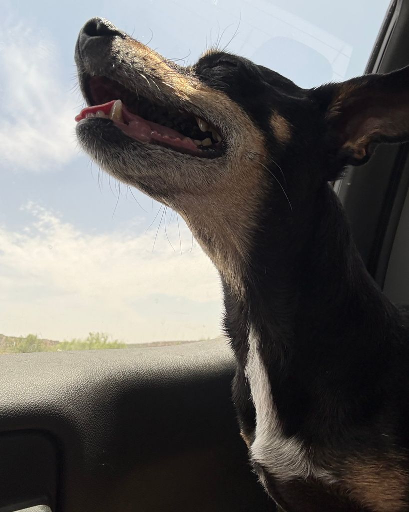 Taco Horton Profile Photo