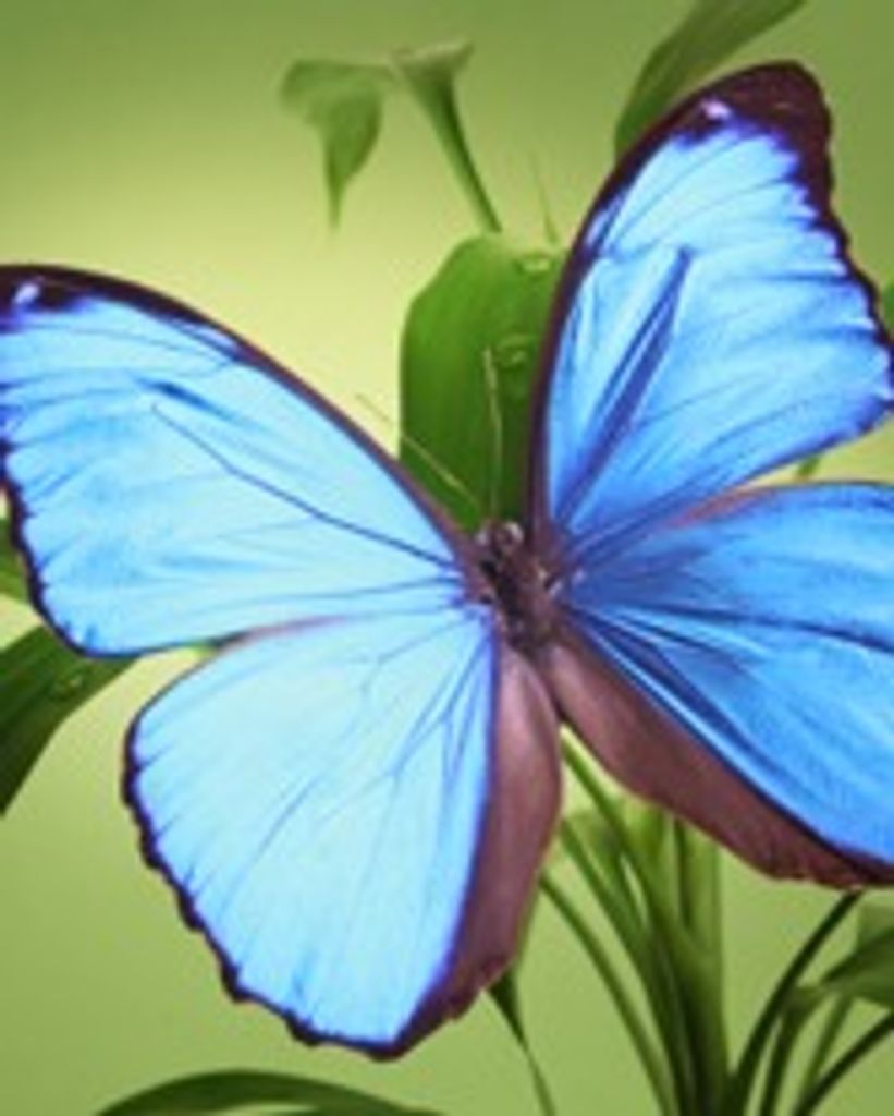 Gloria Giddens Profile Photo