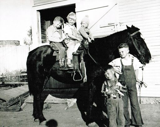 Marilyn J (Johnston)  Linker photo gallery thumbnail 59 of 65