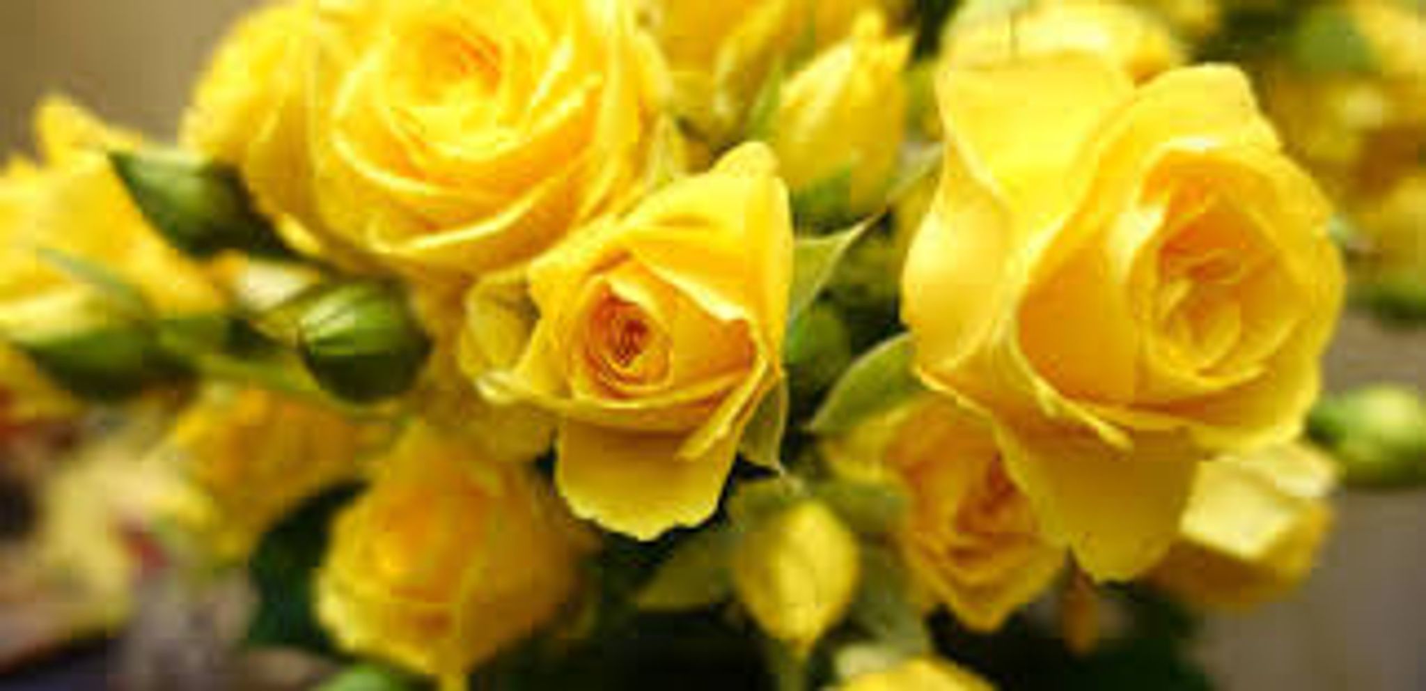 Cover photo for Mary LeGwin Brock's Obituary