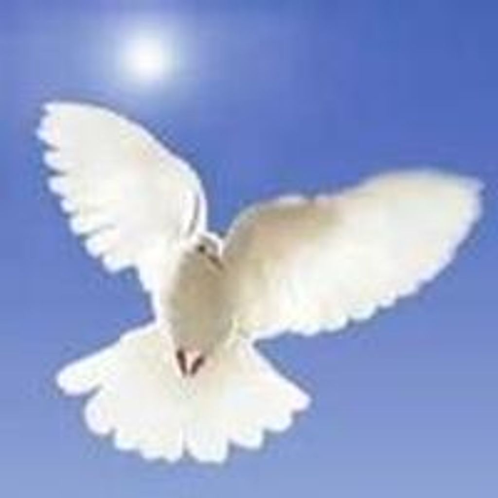 Patrick Allan Taylor