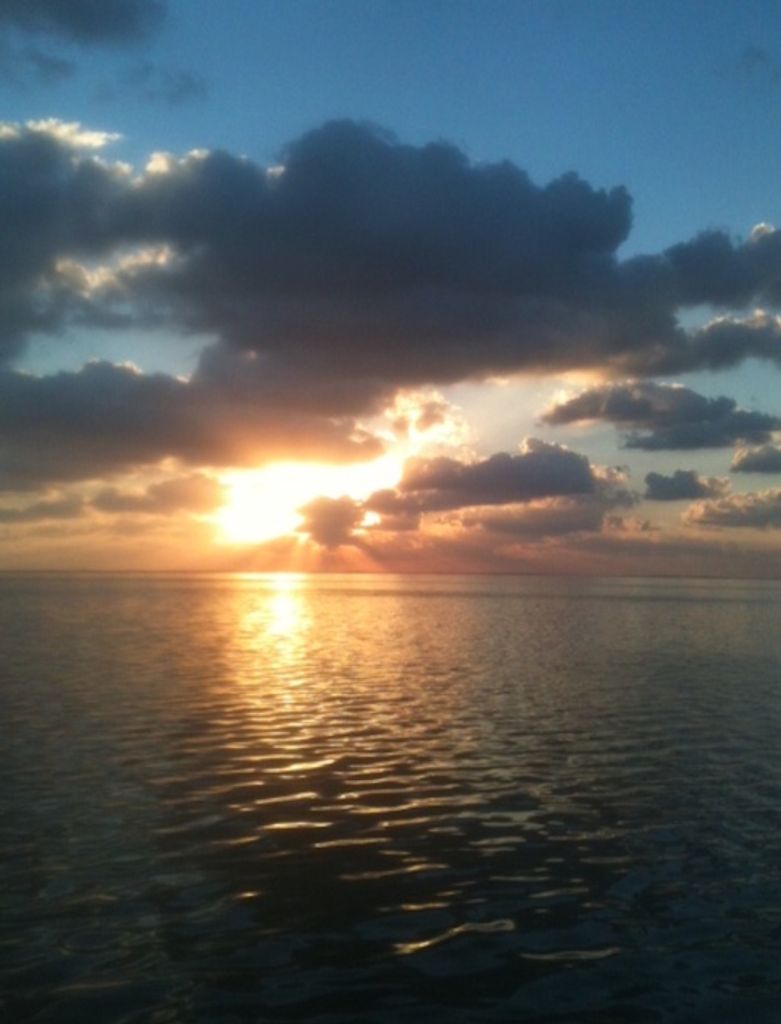 Linda Kay (Franklin) Rine