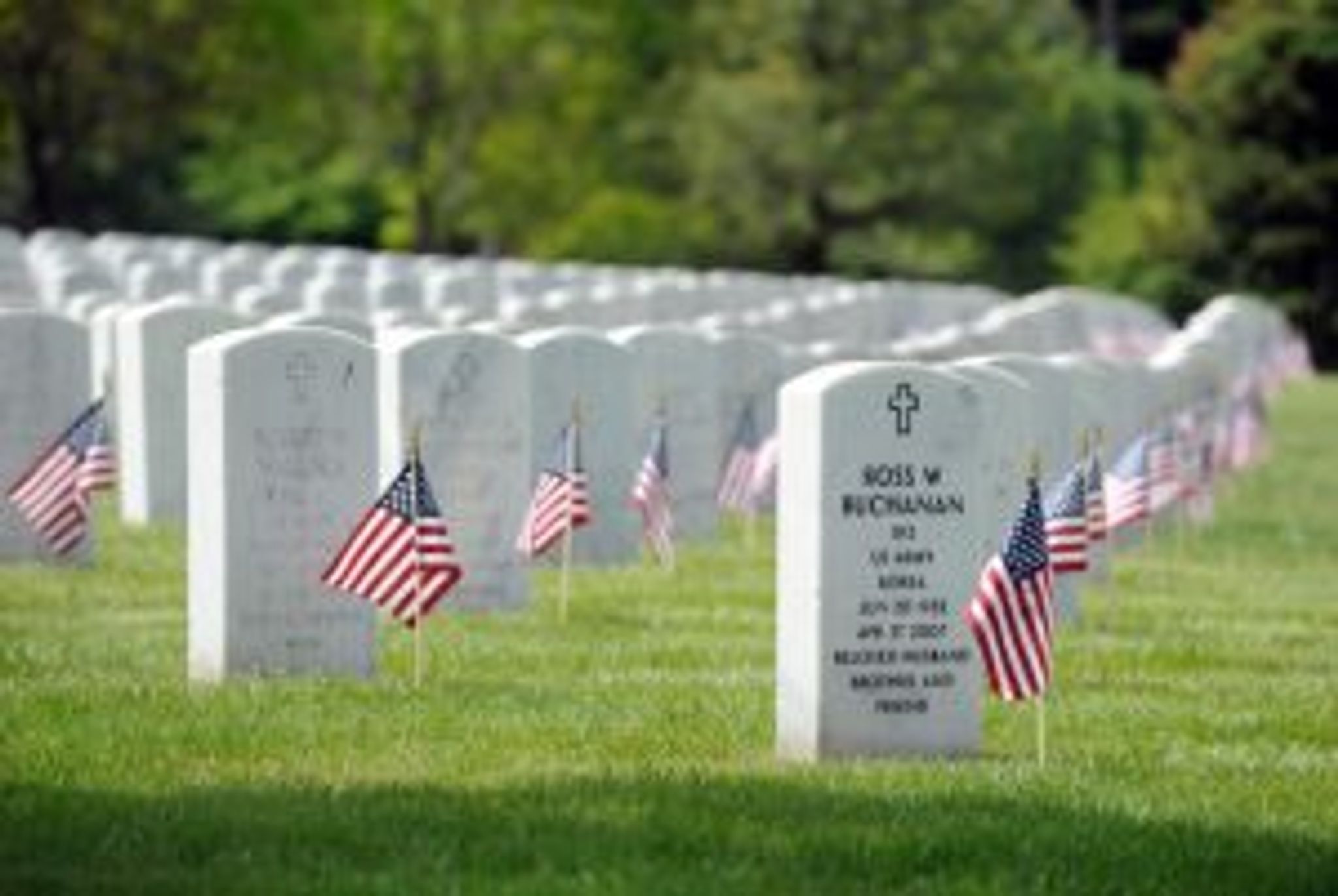 Cover photo for Merle Rolfs's Obituary