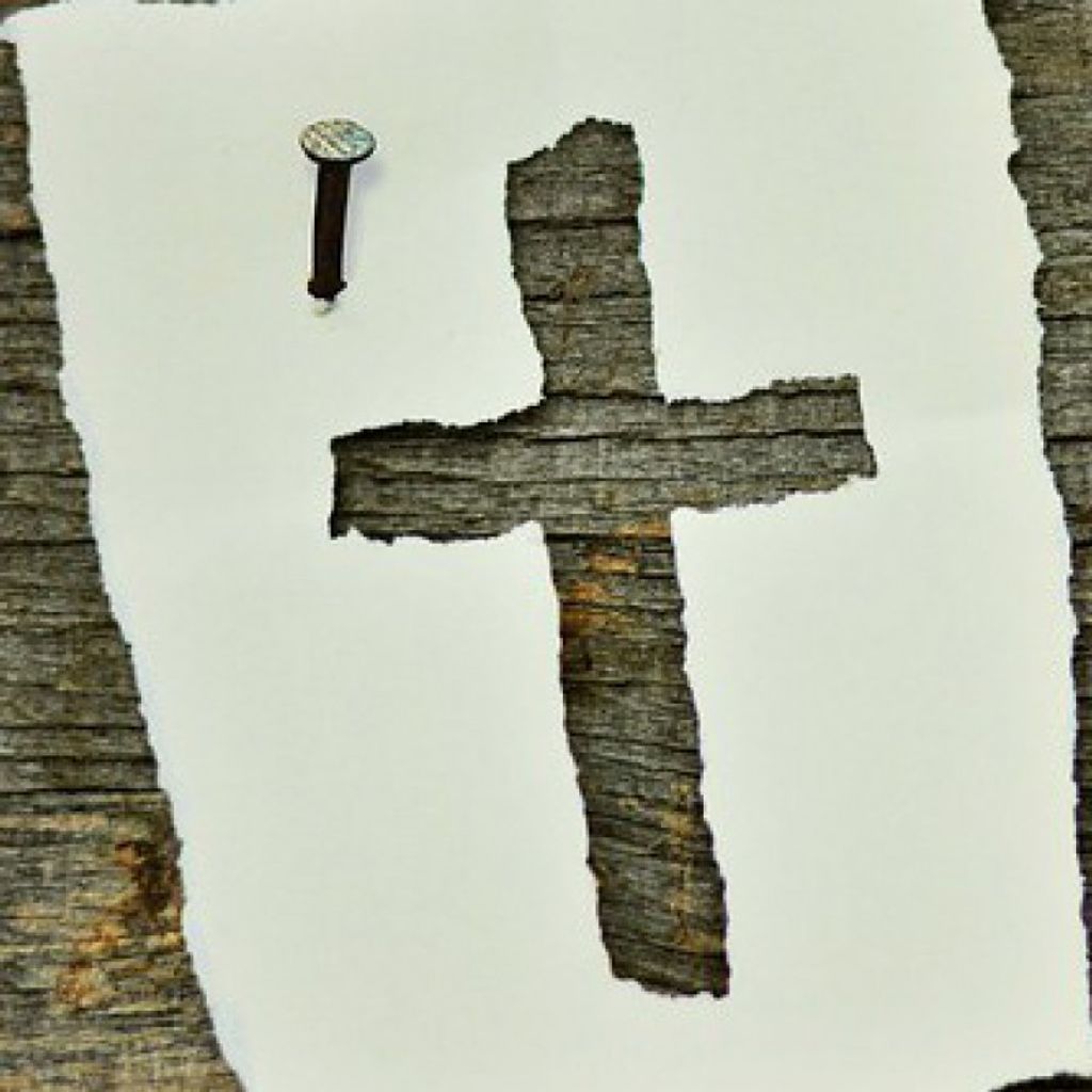 Scott Andrew Adnams Profile Photo