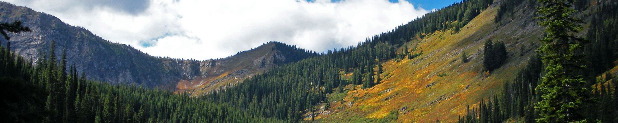 Cover photo for David Nakasone's Obituary